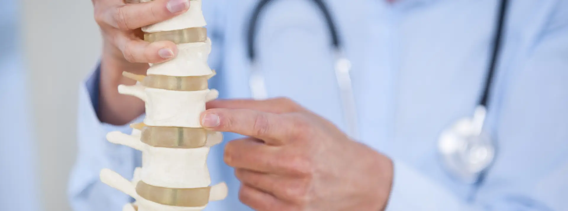 Book a free spine check today!
